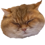 when?