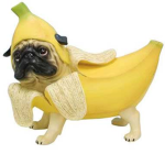 BANANA PUGS