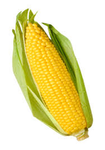 The Corn Studios