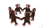 chilidogs chat group