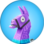 The llama Sqaud