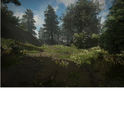 Foresty Fight