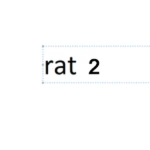 Small Cheese Rat Studio