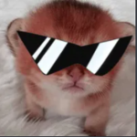 Cute Fortnite Kitties