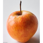 Orange_Apples