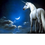 unicorn squad22
