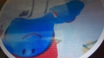 Hi this is the navidh2020 yts sub