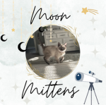 ~+’Moon Mittens’+~