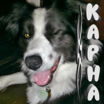 Kapha!