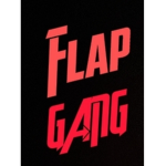Flap Rush
