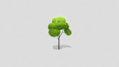 Tree Generator Plugin