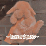 ~Bunny Squad!!~