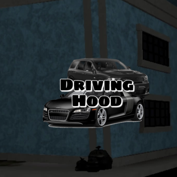 Driving Hood