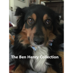 The Bxen Hxenry Collection