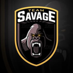 SVG Fan Group