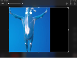 バナナ王国