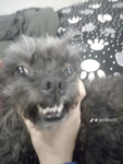 gabrielito82020