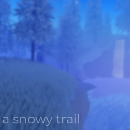 a snowy trail