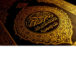 WE LIKES MUSLIMS