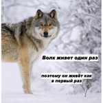 Чил