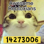 Awesome Robloxian’s