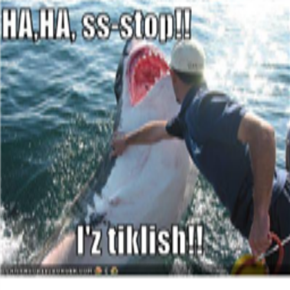 funny shark Roblox decal