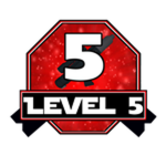 Level 5