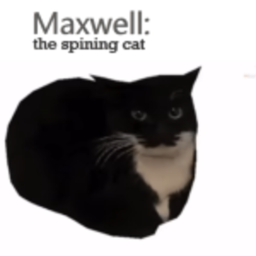 Maxwell the spinning cat