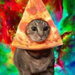 TEAM DIVINE CAT