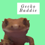 Gecko Baddie