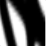 z peterman800 38