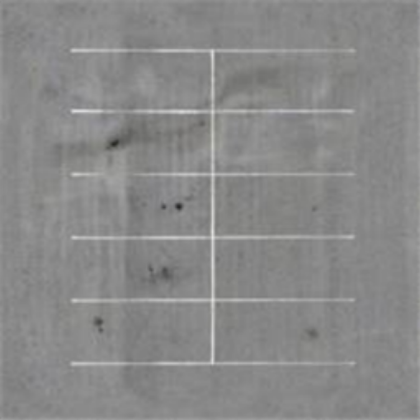 Parking Lot Texture 1 Roblox decal