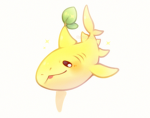 Sharkies !