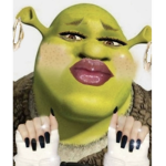 SHREKY BOO BOO BEAR