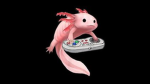 Axolotls Makes Games
