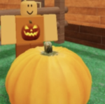 The Pumpkins of Robloxia!
