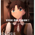 V&H DHCA$H