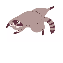 Raccoon