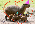 -Capybara fan club-