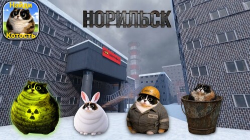 [🚦] Найди кошку [ 😺 66 ]