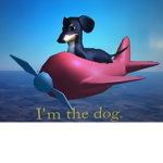 Doge.Group