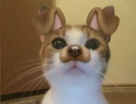 Mine UWU
