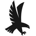 United Falcon Navy