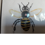 Save The Bee's