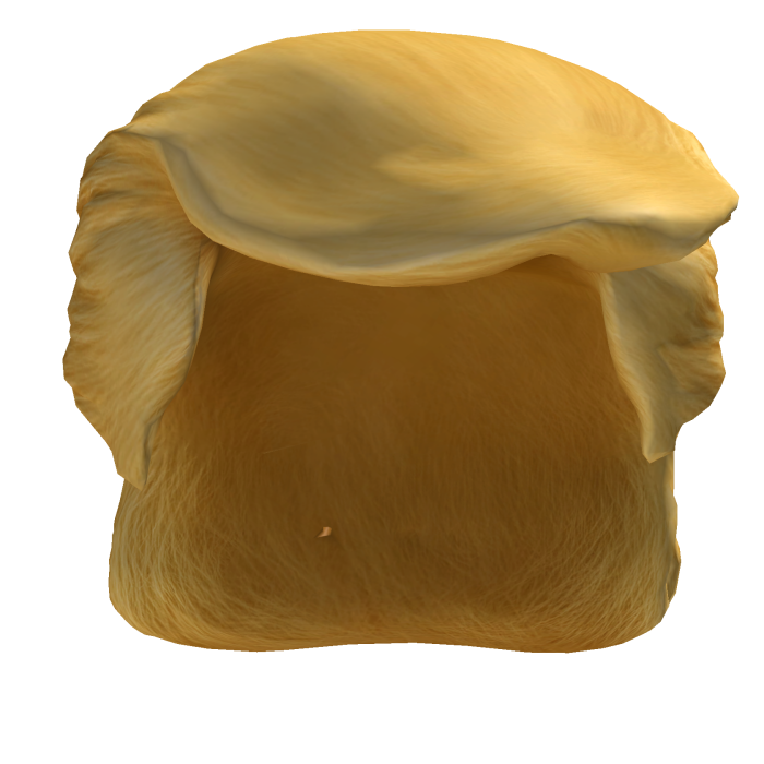 Presidential Golden Comb-Over Hair