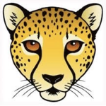 Cheetahs Studios