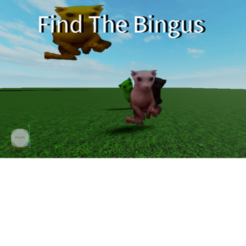  Find The Bingus