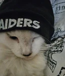 armours Group Thumbnail