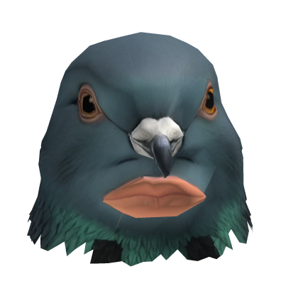 Pigeon from Cantina