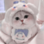 NexuWear